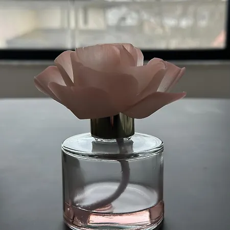 Warm 3 布加勒斯特